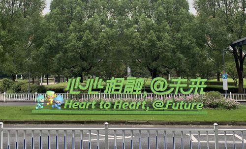 溫州企業雙線發力，強勢入圍杭州亞運會兩大運動項目供應商